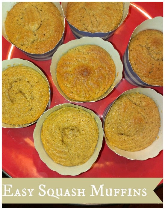 Easy Squash Muffin Recipe A Sparkle of Genius