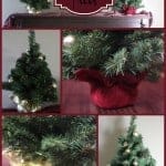 How to find the Perfect Christmas tree! - A Sparkle of Genius