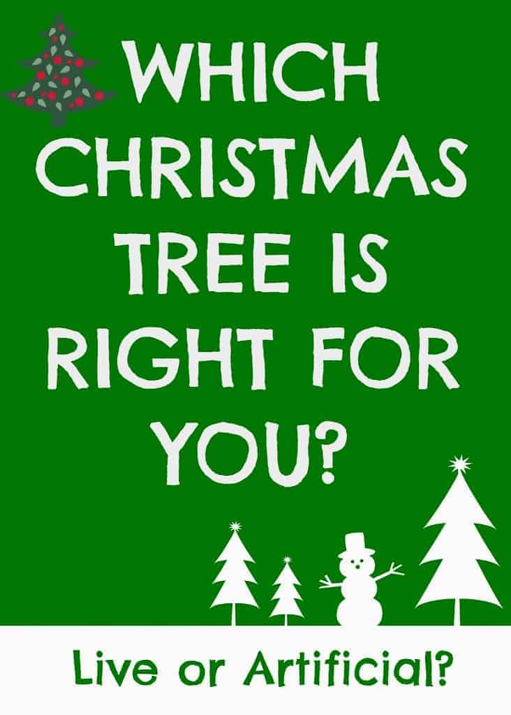 How to find the Perfect Christmas tree!  A Sparkle of Genius