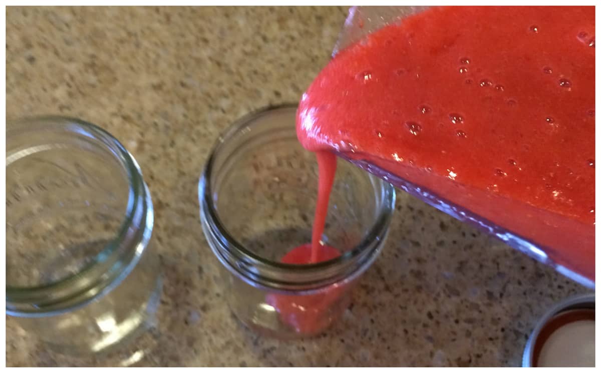 Make Strawberry Freezer Jam with your Blender A Sparkle of Genius