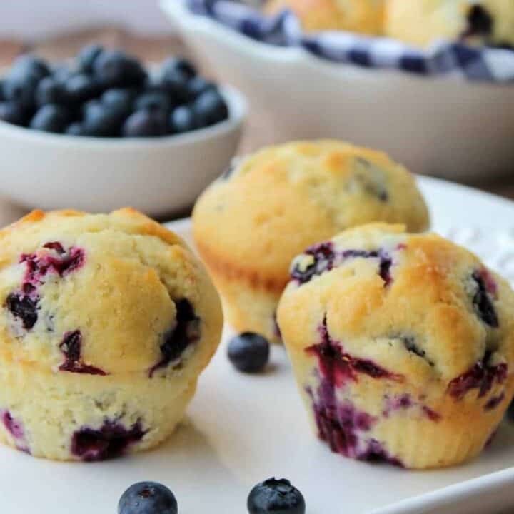 One Bowl Blueberry Muffins Quick and Easy Recipe