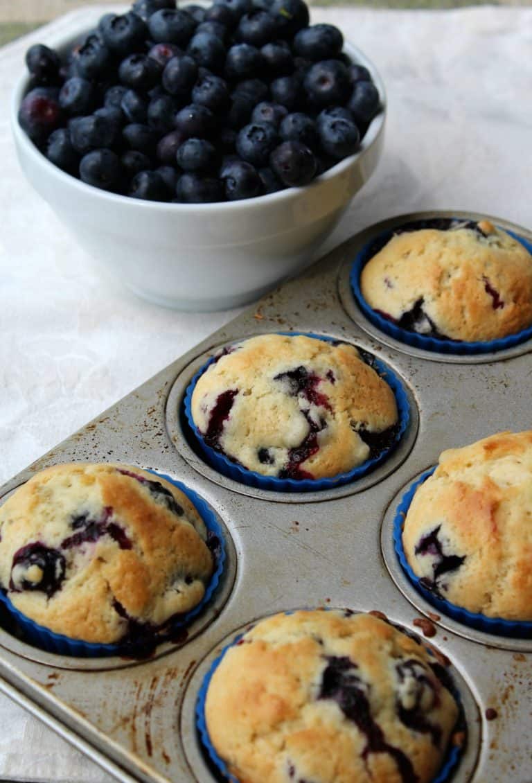 One Bowl Blueberry Muffins Quick and Easy Recipe