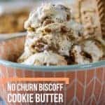 A close up of Easy No Churn Biscoff Cookie Butter Ice Cream