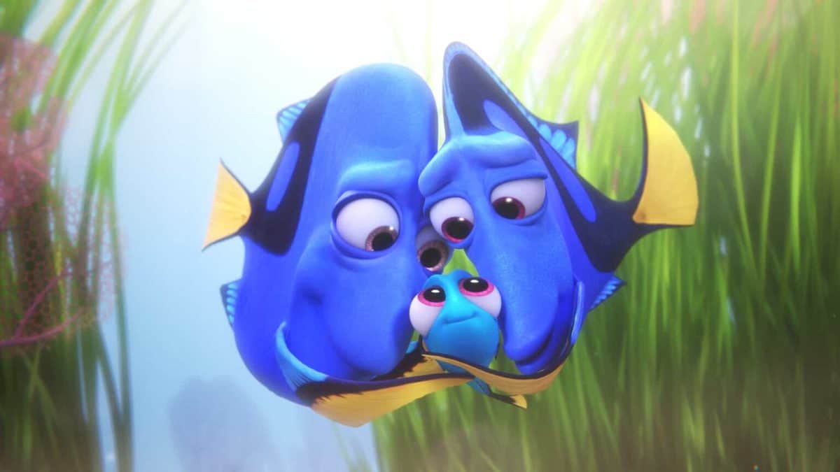 Dory image