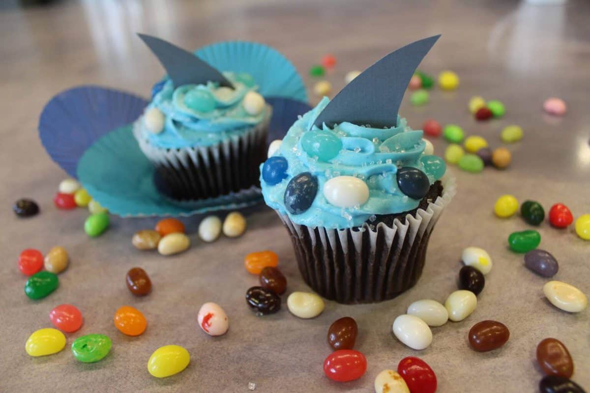 Cupcake and Fin