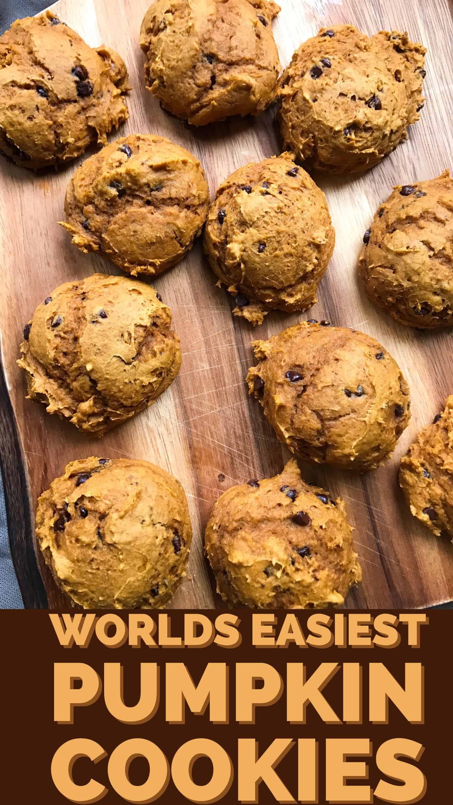 Worlds Easiest Pumpkin Cookies Easy Holiday Cookies Recipes