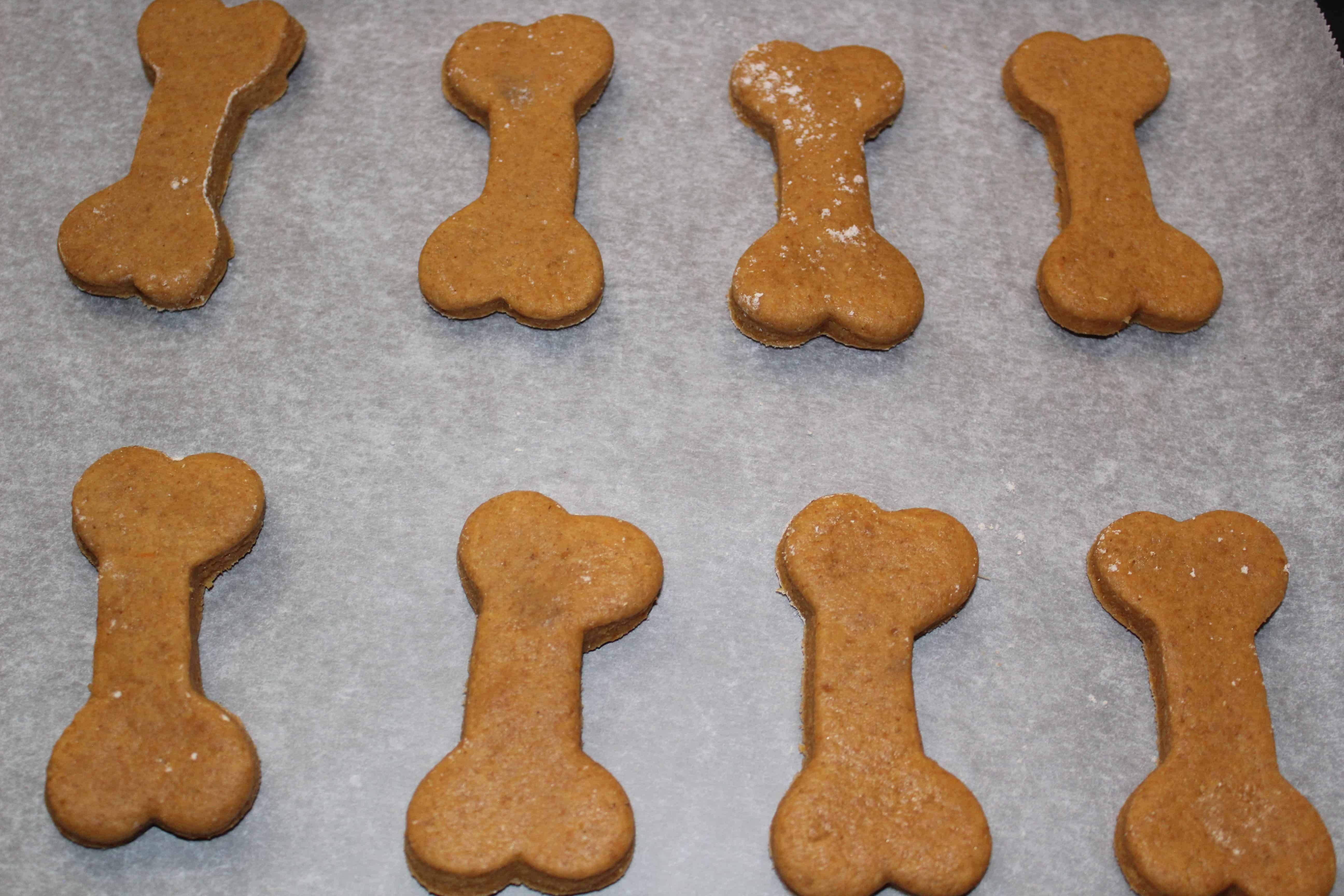 Dog and Biscuit