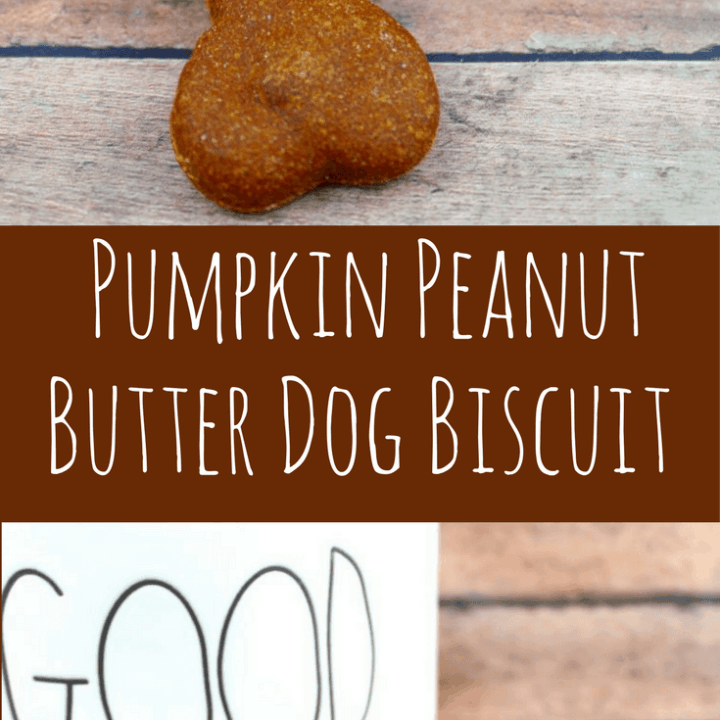 Homemade Pumpkin Peanut Butter Dog Biscuit Easy Dog Biscuit Recipe Homemade Pumpkin Peanut Butter Dog Biscuit 1 720x720