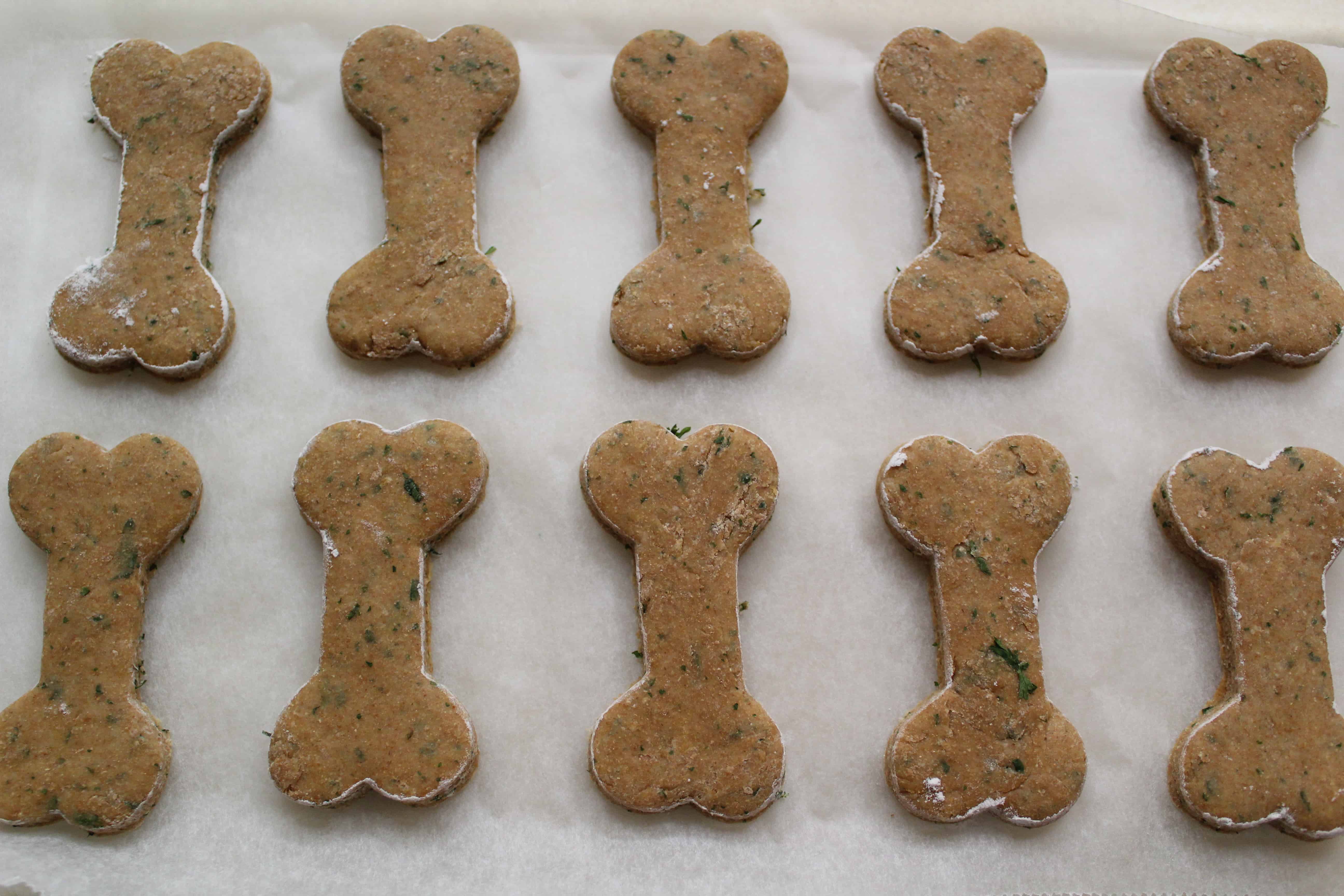 Chicken and Parsley Homemade Dog Biscuit Recipe