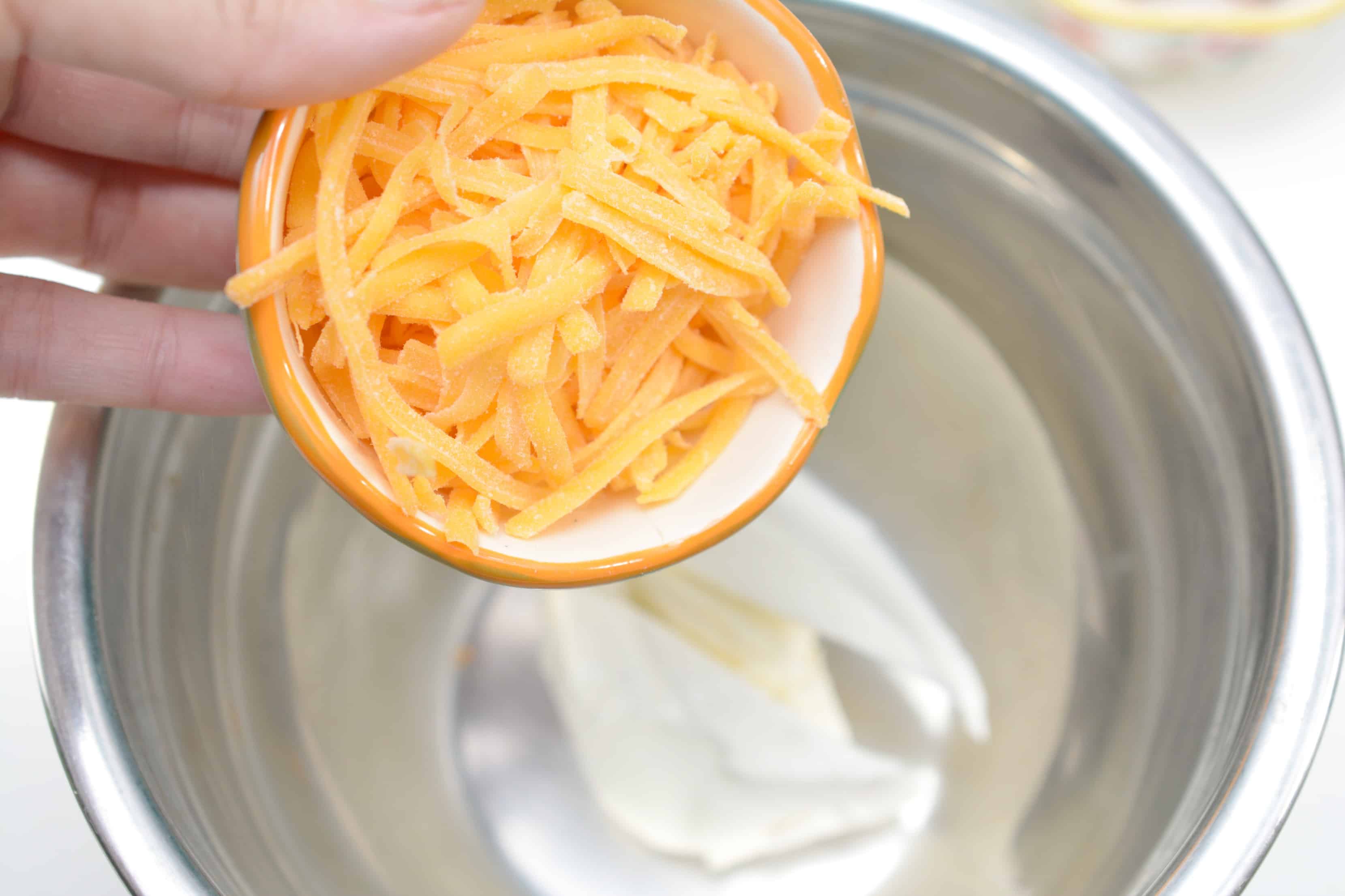 A plate filled with cheese
