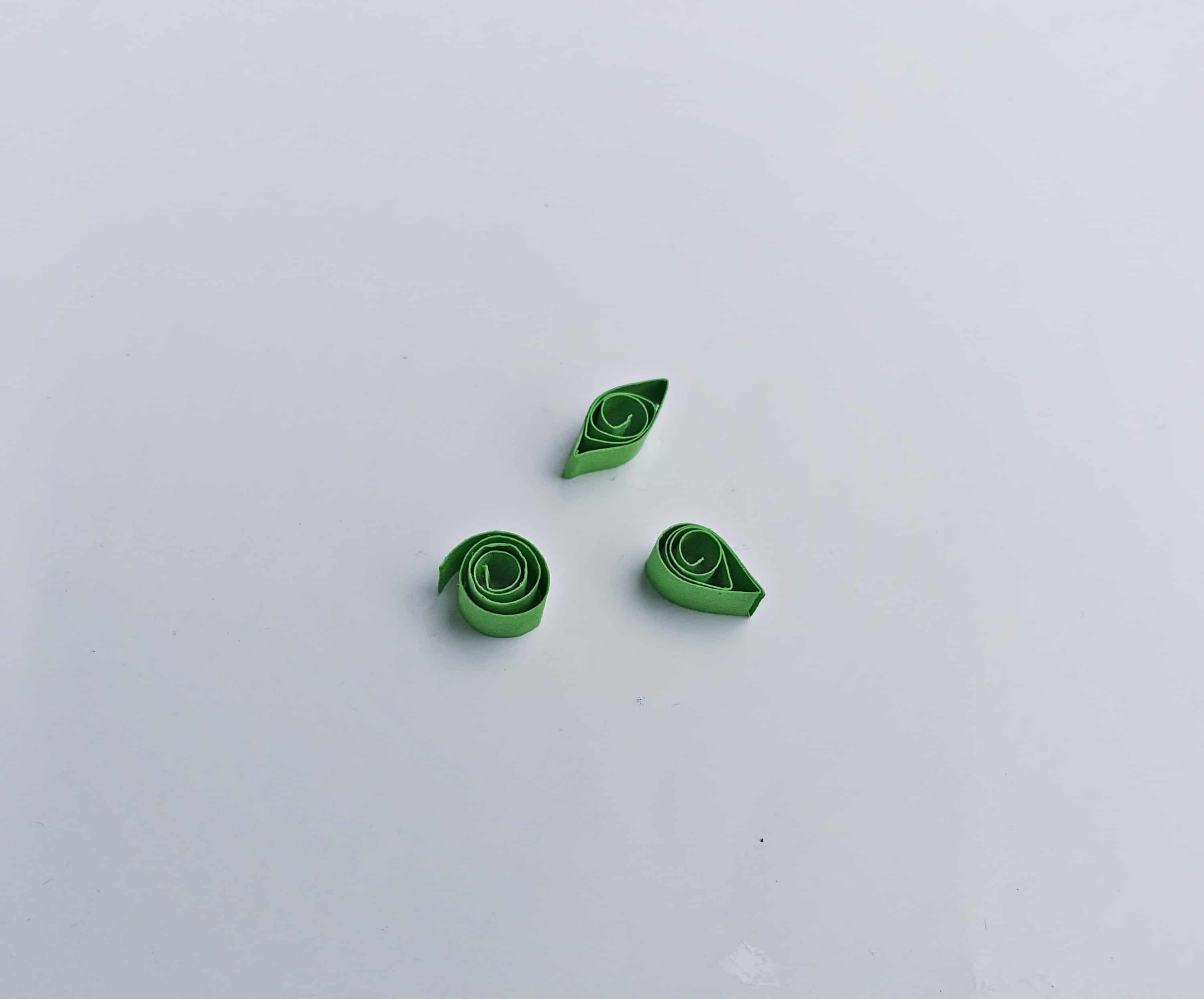 A close up of a green leaf