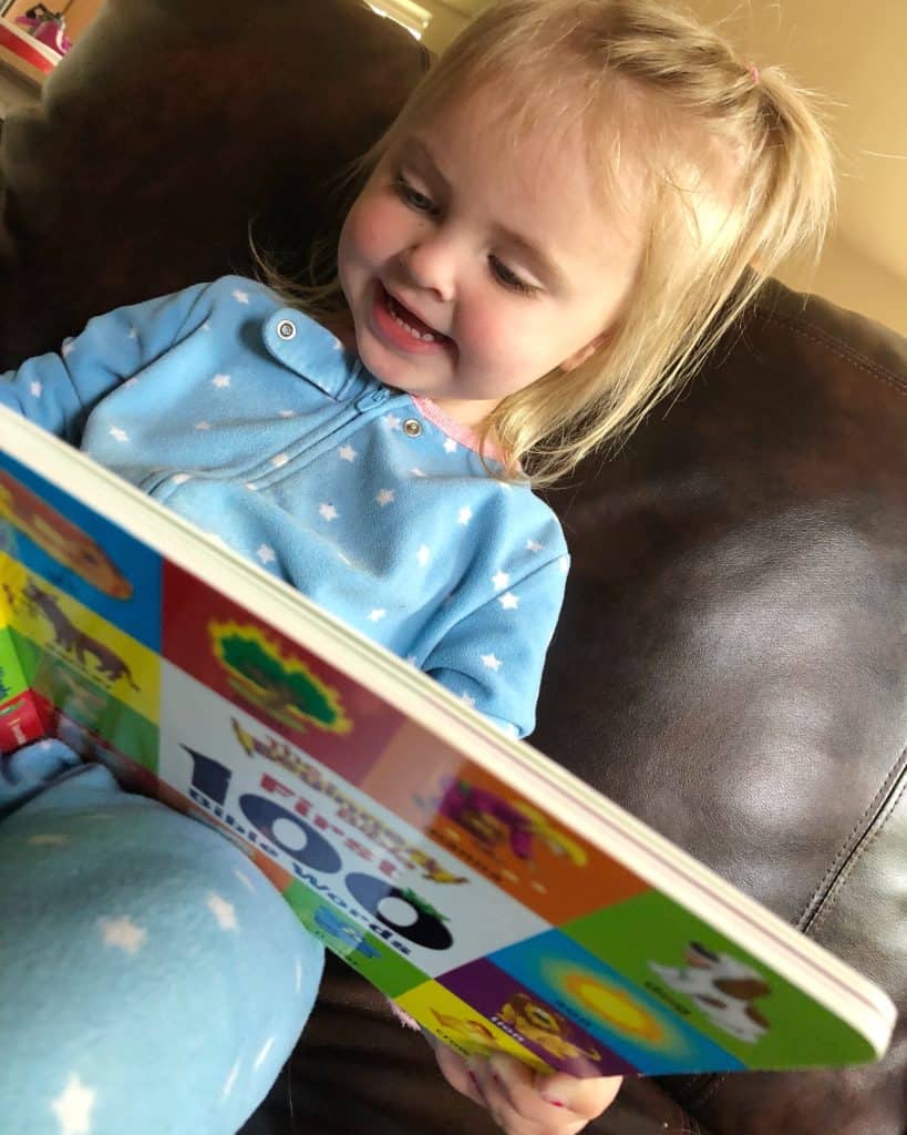 toddler reading beginners bible