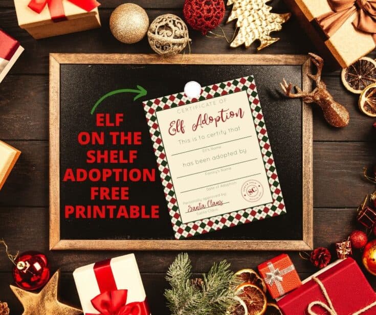 elf-on-the-shelf-adoption-certificate-a-sparkle-of-genius