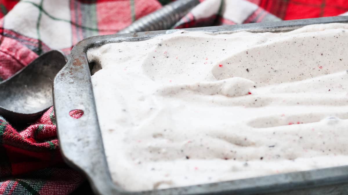 A close up of homemade ice cream