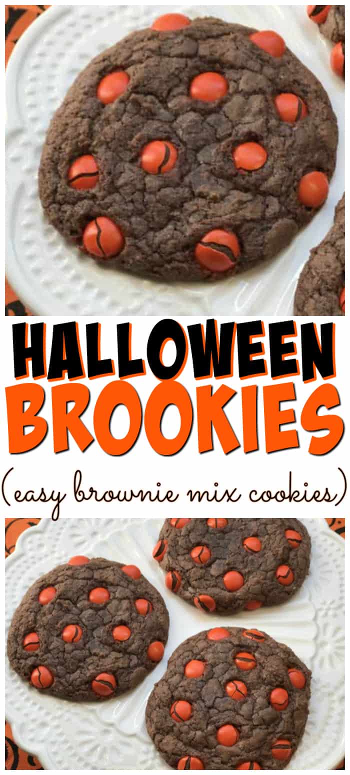 Chocolate chip cookie