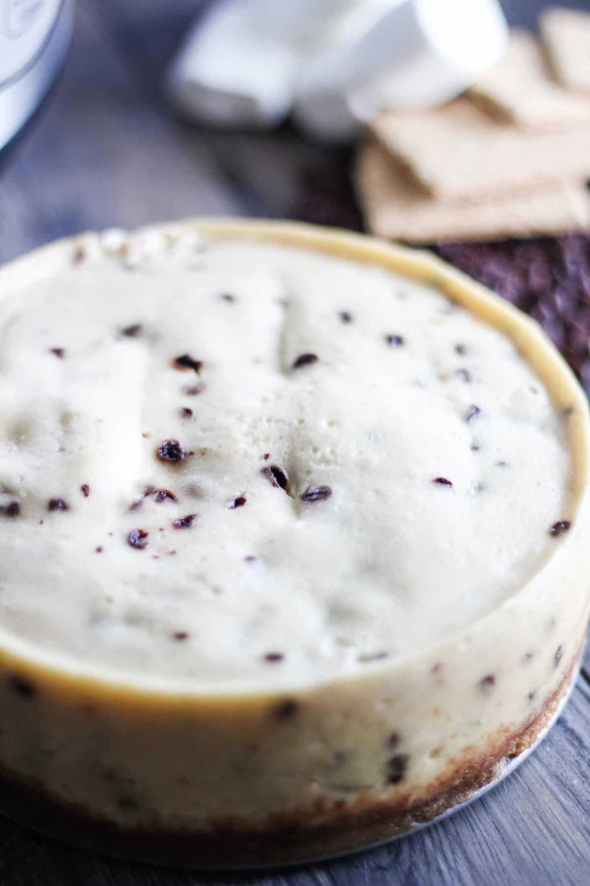 A close up of a chocolate chip cheesecake