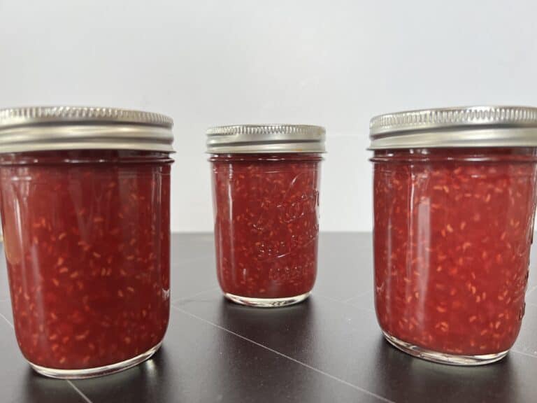 Bread Machine Jam Recipe Homemade Raspberry Jam
