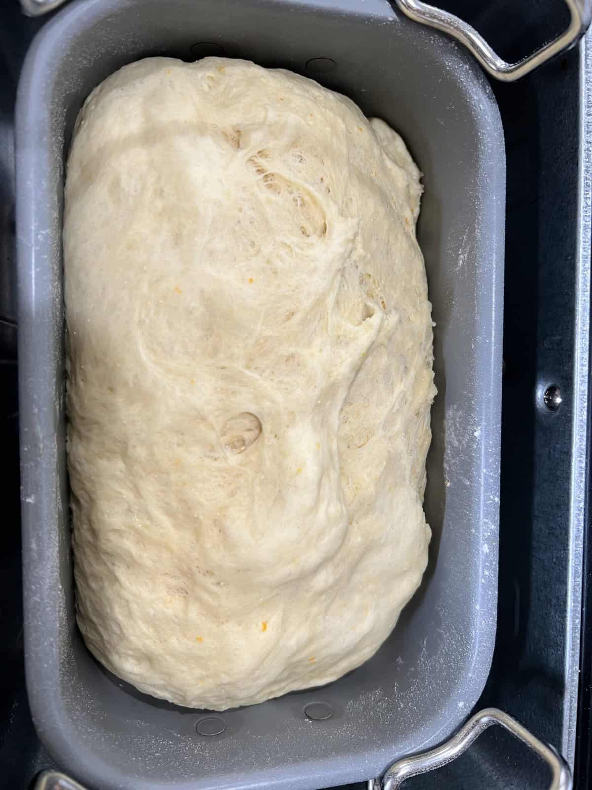 Bread dough in bread machine bowl