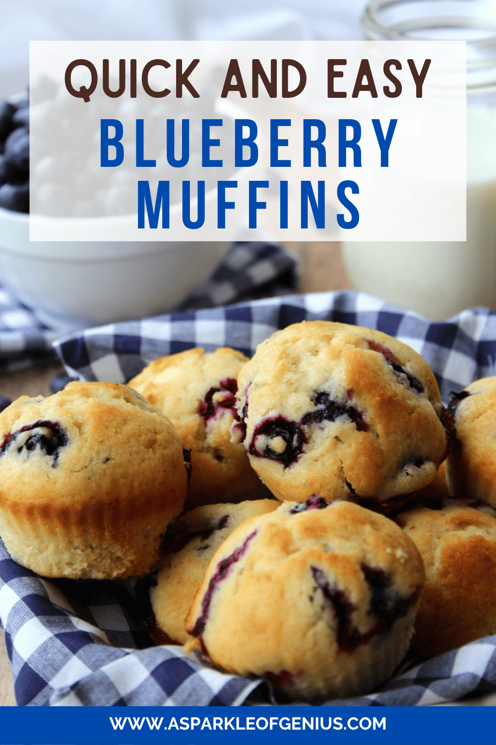 blueberry made from one bowl ready to eat