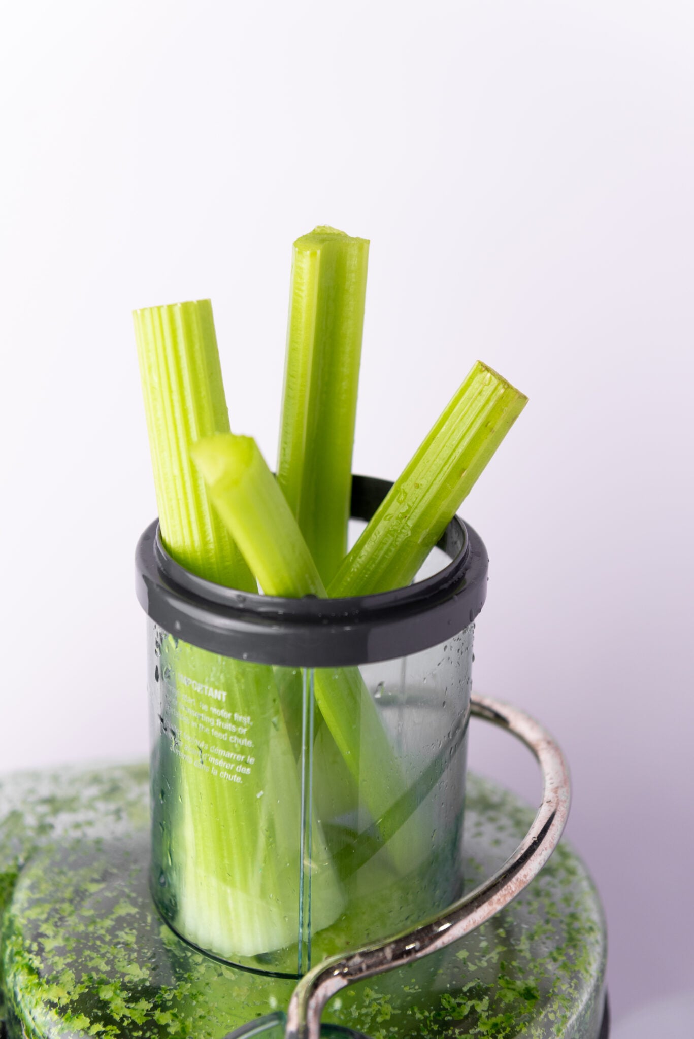 Bird's eye view of long, fresh celery stalks being fed into the juicer, their light green hue complementing the machine's metallic sheen for weight loss.