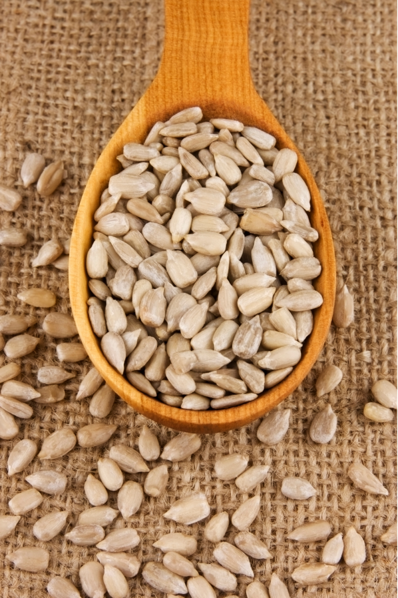 Sunflower seeds vs pumpkin seeds Which is better? A Sparkle of Genius