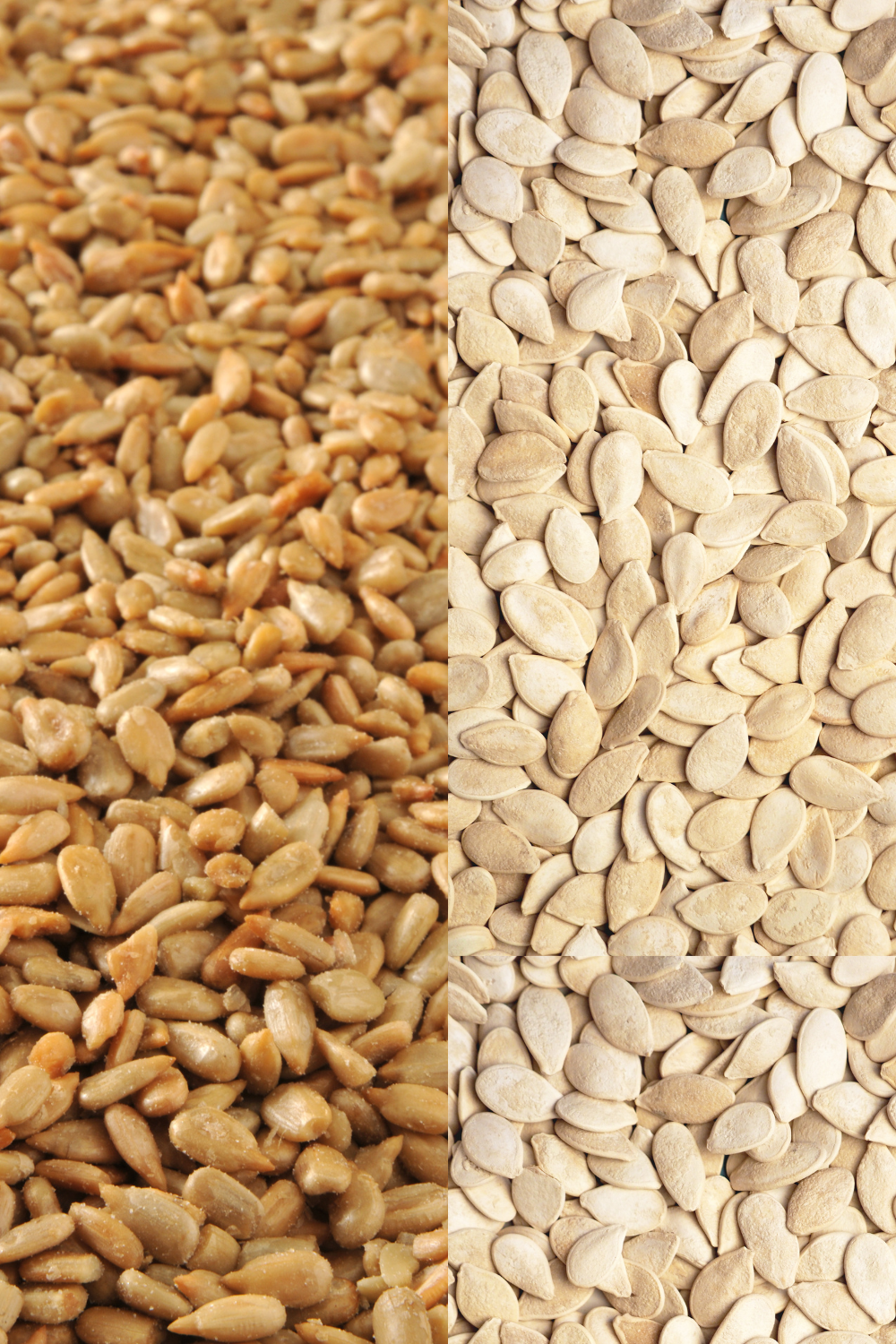 Close up of Sunflower seeds and pumpkin seeds