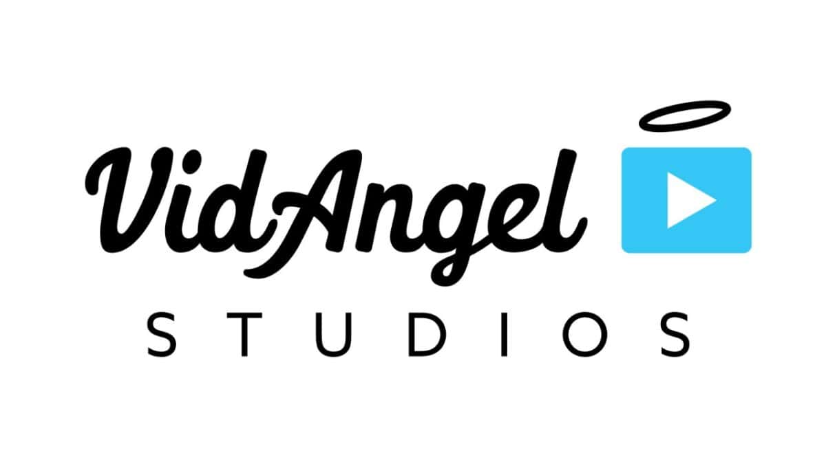 The VidAngel logo, a distinct and recognizable graphic representation associated with the VidAngel brand.