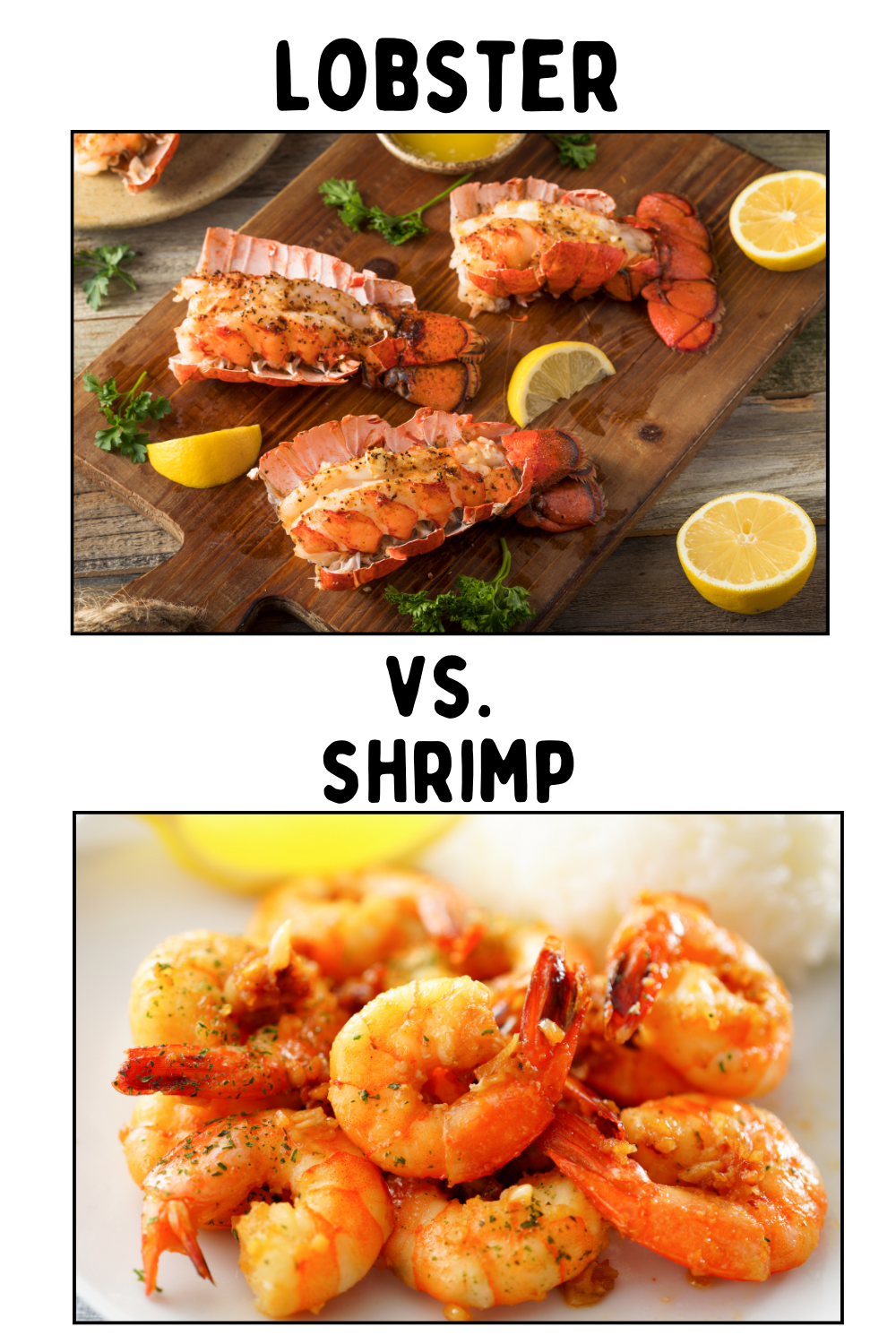 photo comparing lobster vs shrimp