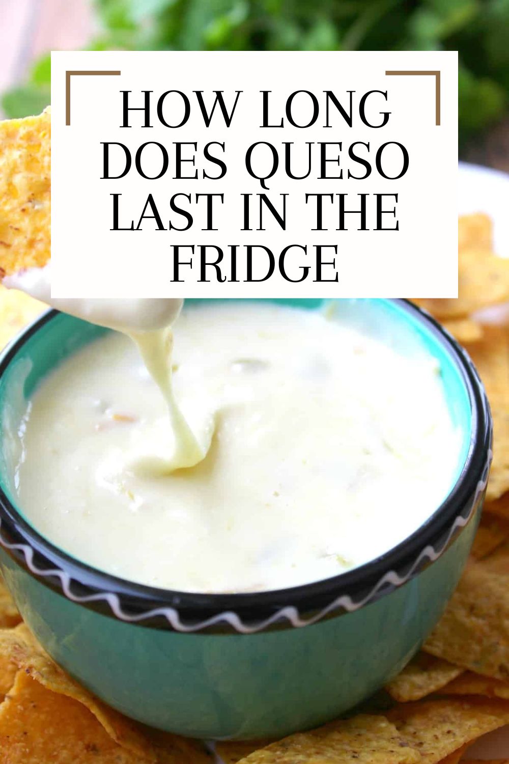 How long does Queso last in the fridge? A Sparkle of Genius