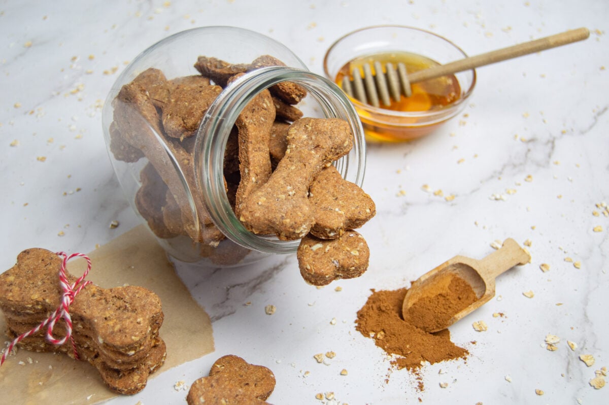 A glass jar tipped over spilling homemade whole wheat dog treats alongside a bowl of honey and a scoop of cinnamon.