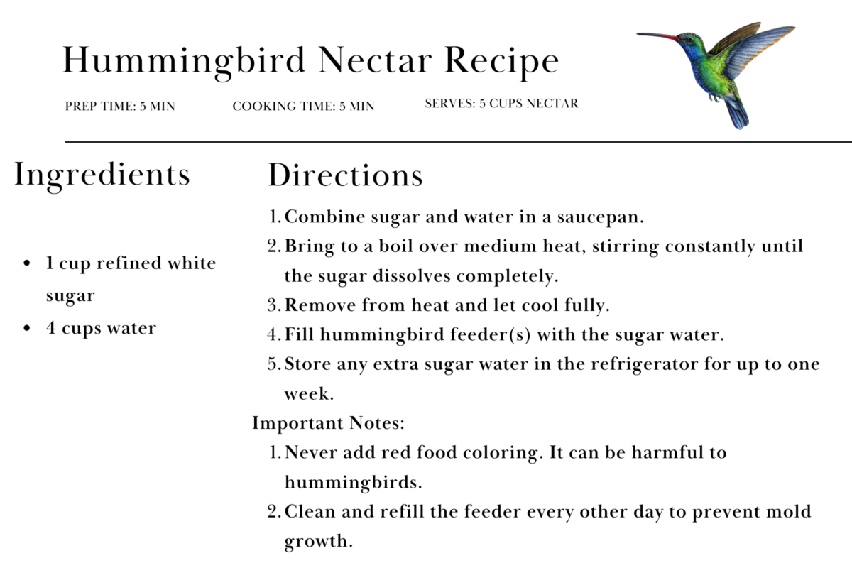 recipe for hummingbird nectar with ingredients and instructions, featuring an image of a hummingbird in flight.