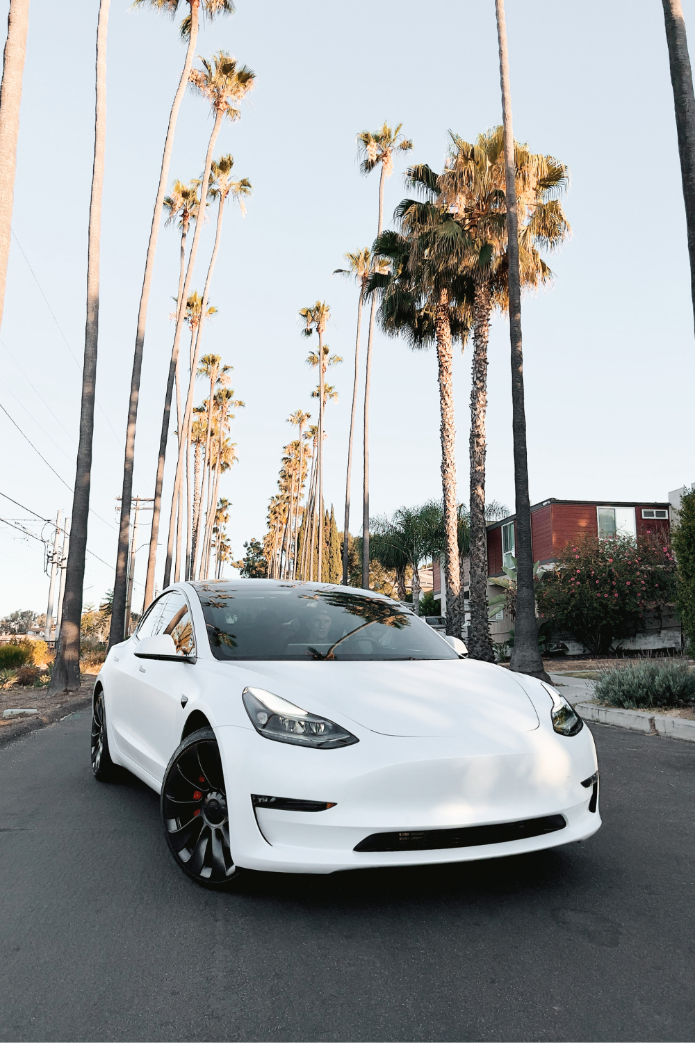 A white sedan, gleaming with fresh car paint, is parked in the middle of a street lined with tall palm trees on both sides. The sky is clear and there are houses visible in the background, making it the perfect scene to notice its spotless surface free of any yellow stains.