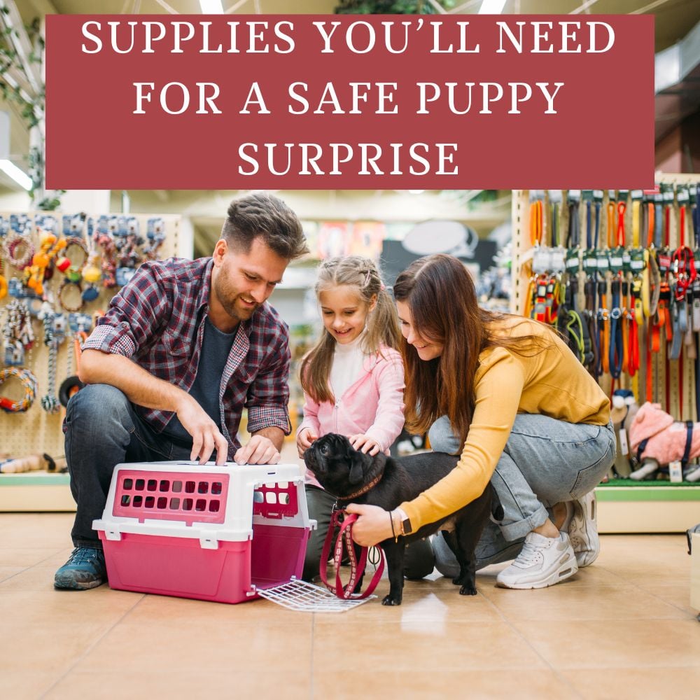 A family with a young daughter and a small dog huddles near a pet carrier in the store, surrounded by an array of pet accessories. The little girl's eyes light up with excitement, as she realizes this surprise is the best way to welcome their new puppy.