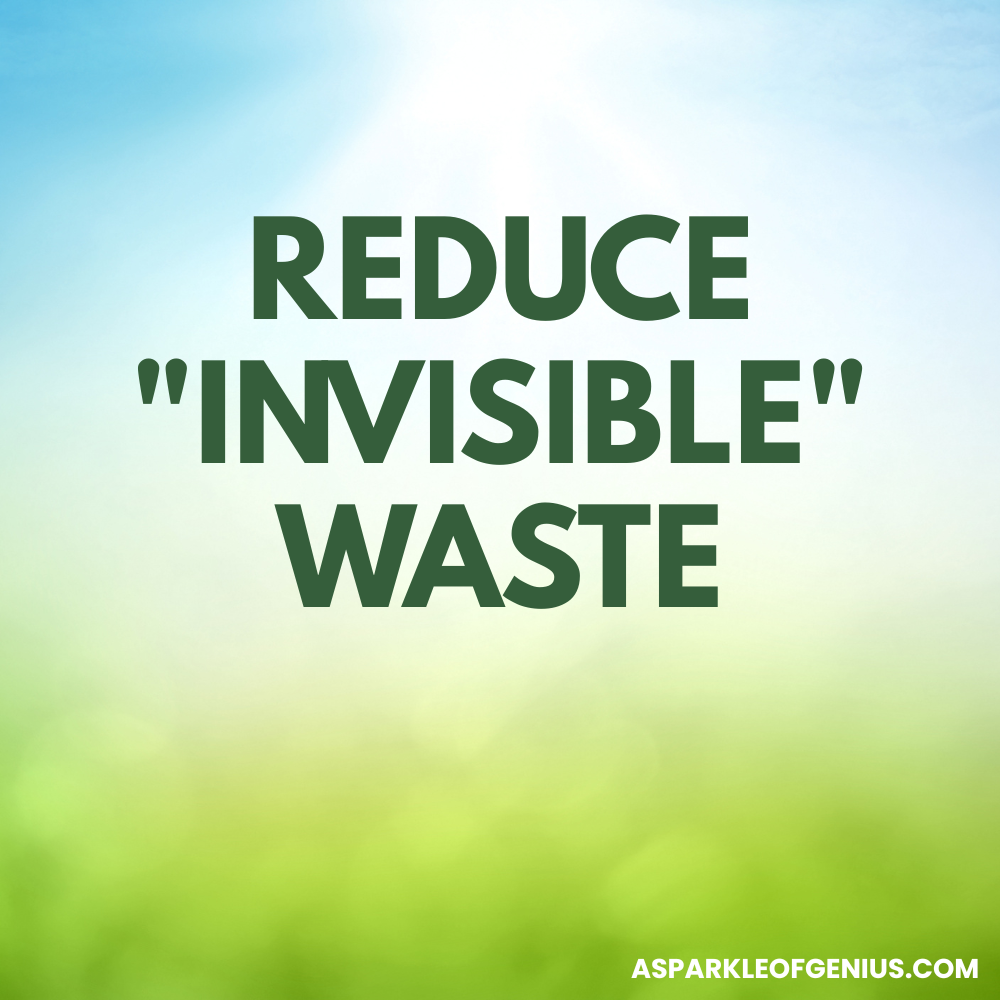 Text on a blurred green and blue background reads: "Reduce 'Invisible' Waste." Discover zero waste tips at aspakleofgenius.com, shown in the bottom right corner.