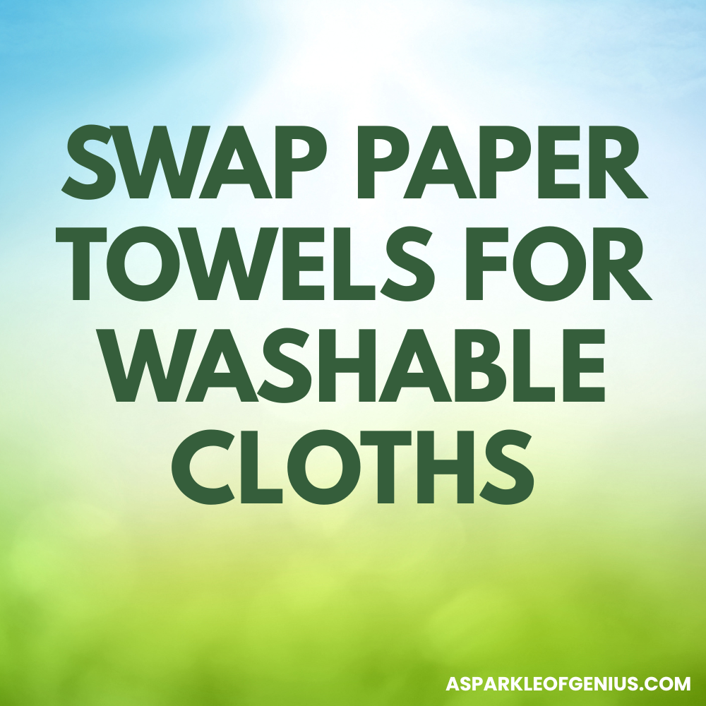 Text graphic with the message: "Swap paper towels for washable cloths" on a blurred green and blue background; perfect for sharing Zero Waste Tips. Website name appears in the bottom right corner.